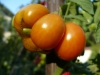 p1040377